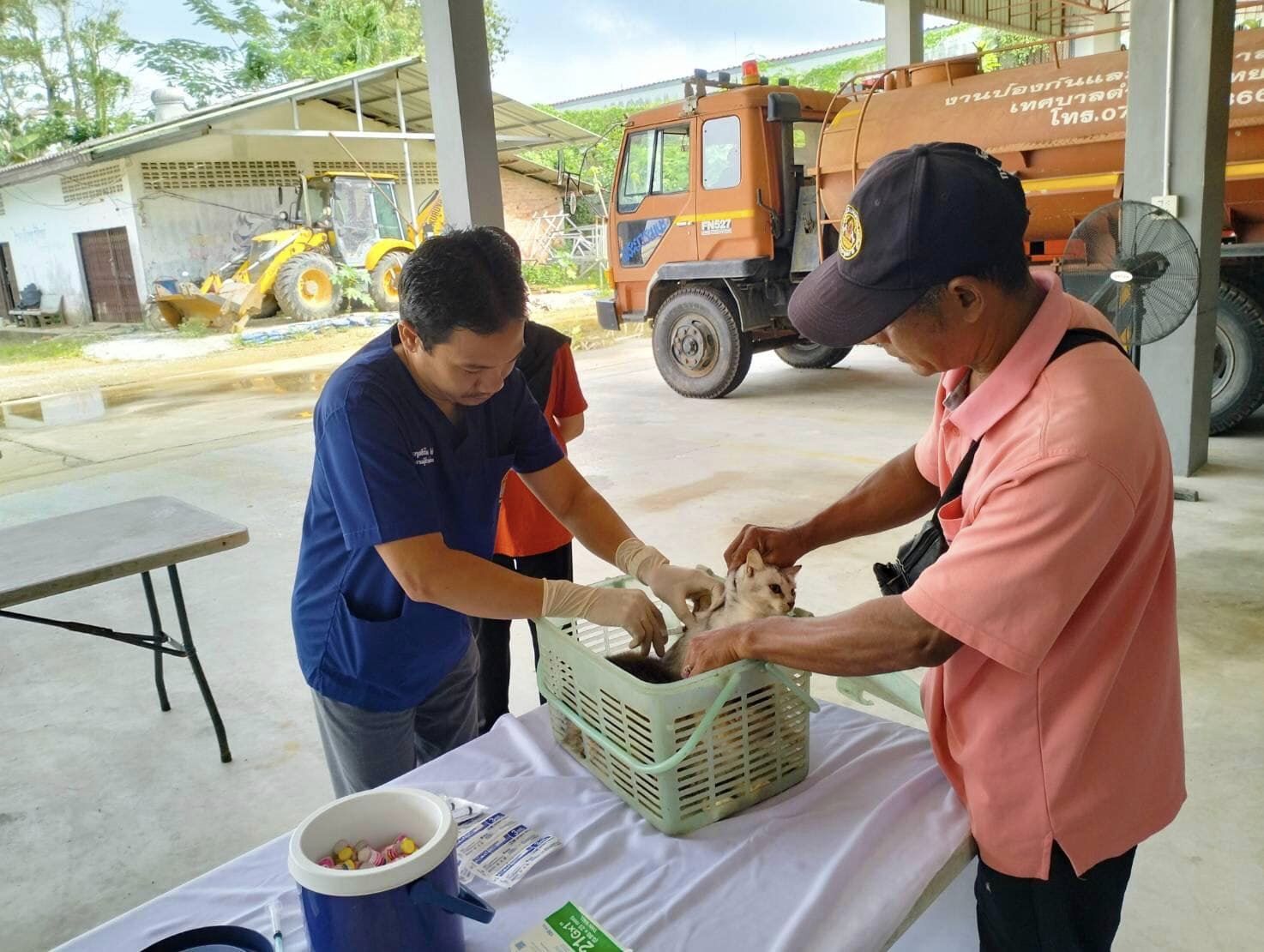 วันพุธ ที่ 10 มกราคม 2567 เทศบาลตำบลตันหยงมัส ร่วมกับสำนักงานปศุสัตว์จังหวัดนราธิวาส และสำนักงานปศุสัตว์อำเภอระแงะ
จัดหน่วยบริการเคลื่อนที่ให้บริการฉีดวัคซีนป้องกัน 
โรคพิษสุนัขบ้า (ฟรี) ณ อาคารงานป้องกันบรรเทาสาธารณภัย 
(สวนวัชระอุทยาน เทศบาลตำบลตันหยงมัส)
ตั้งแต่เวลา 09.00 น. - 12.00 น.